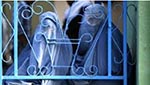 نگرانی فعالان مدنی سرپل از عدم رسیدگی به قضایای خشونت علیه زنان